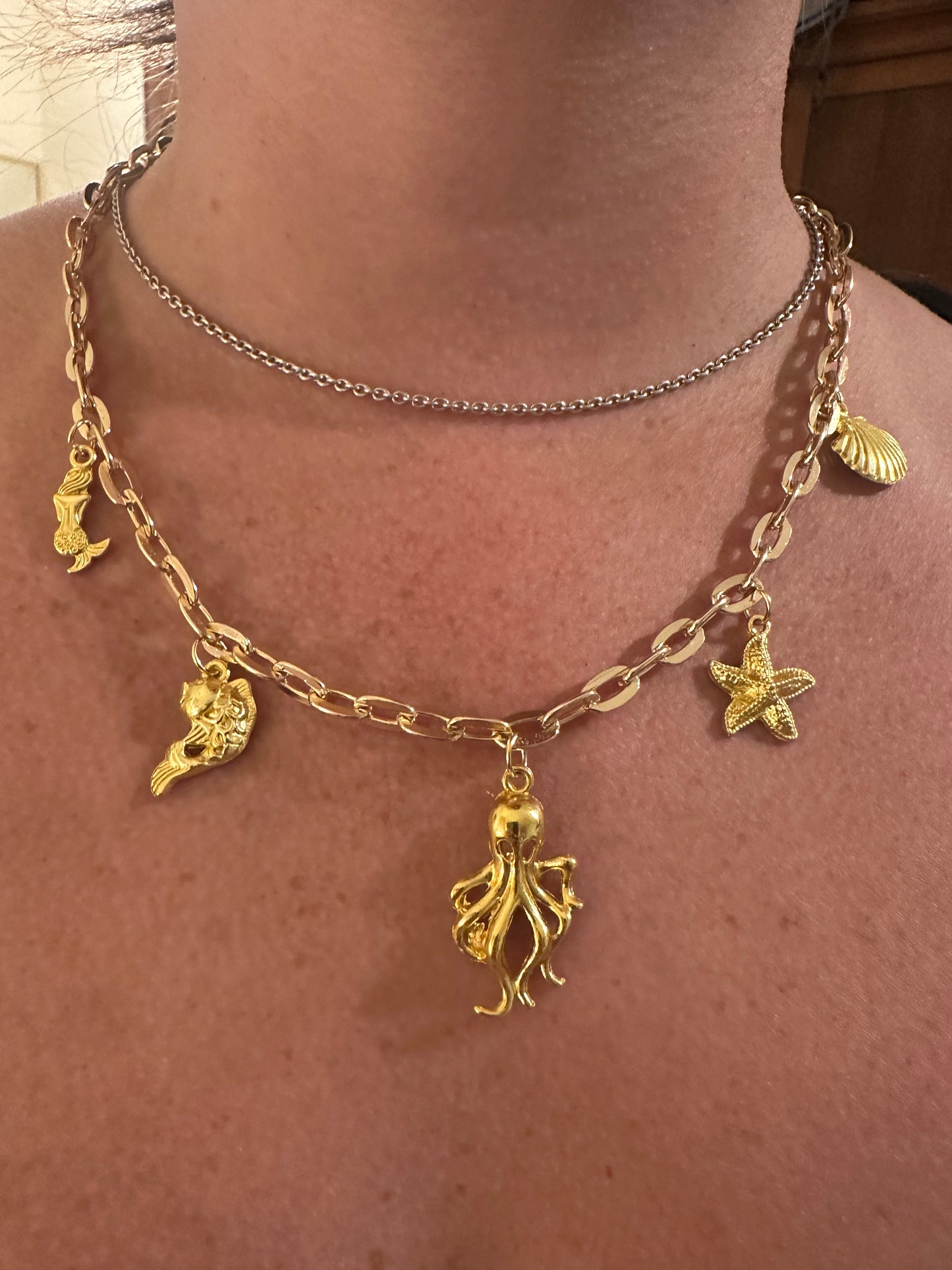 Treasures of the Sea