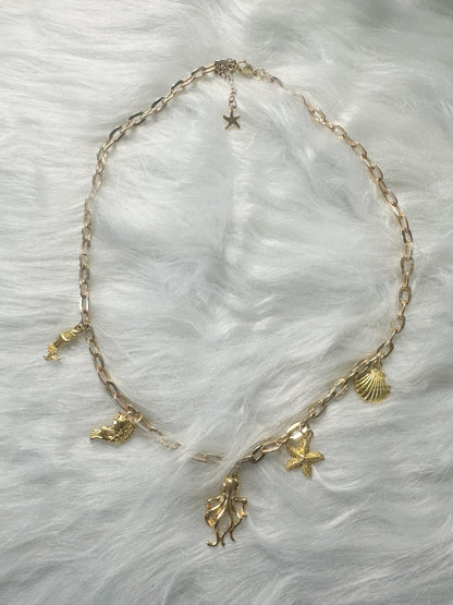 Treasures of the Sea