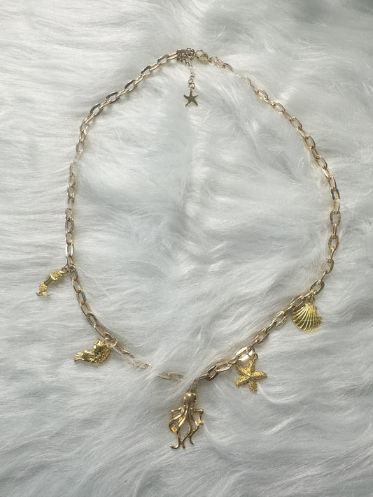 Treasures of the Sea