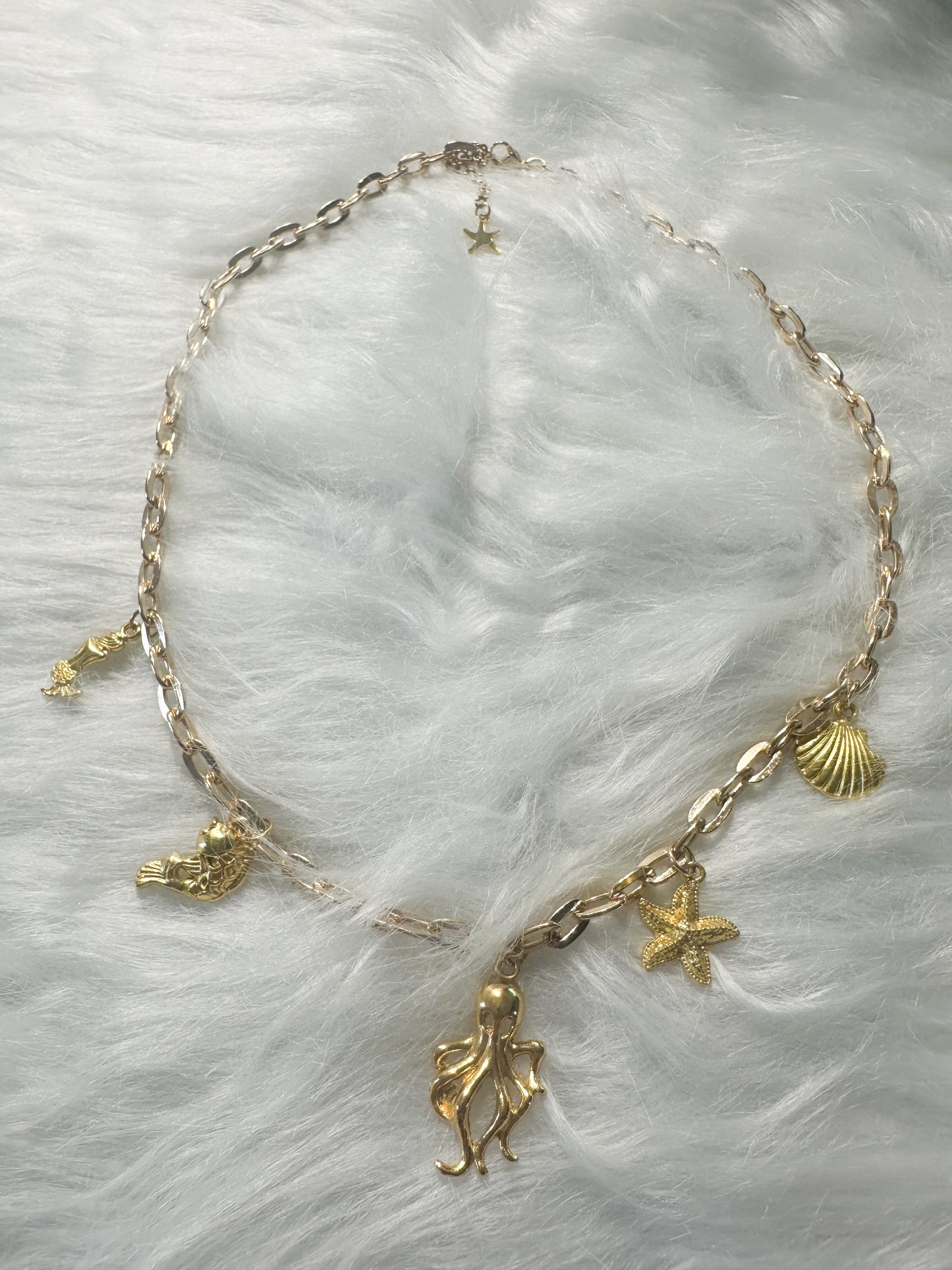 Treasures of the Sea