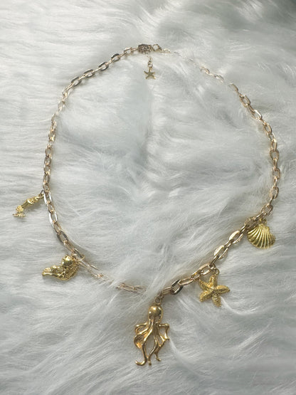 Treasures of the Sea