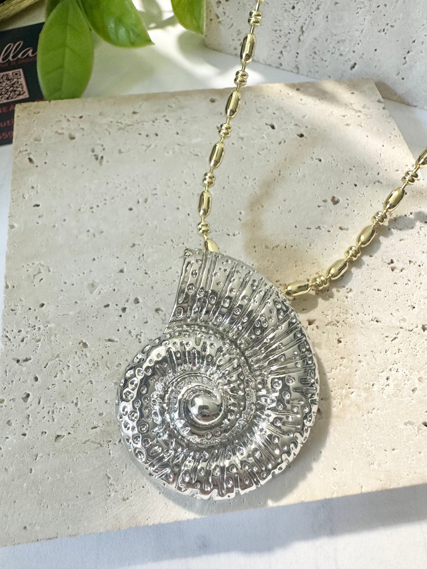 Sun Snail Necklace